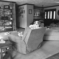 Kathy Woodward Photo 22