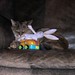 Shelly Wyatt Photo 25