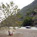 Debra Travis Photo 13