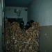 Sandra Michaelis Photo 5