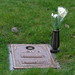 Larry Graves Photo 20