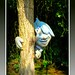 Tony Peek Photo 14