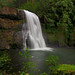 Randall Wade Photo 21