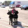 Kathleen Kenyon Photo 7