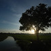 Anis Ahmad Photo 26
