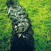 David Bream Photo 11