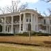 Gary Johnston Photo 33