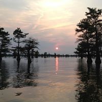 Debbie Burr Photo 37