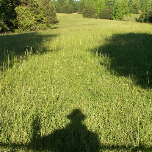Thomas Meek Photo 12