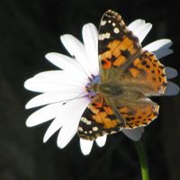 Chris Farmer Photo 22