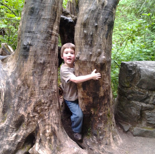 Andrea Echols Photo 19
