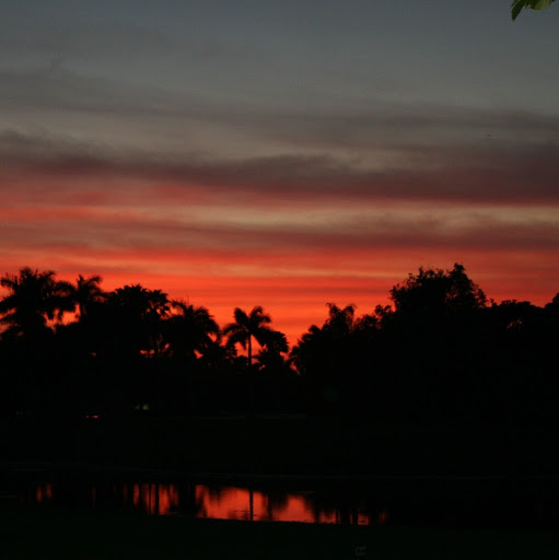 Nancy Calder Photo 15