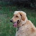 Pamela Cramer Photo 20