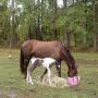 Geraldine Robinson Photo 35