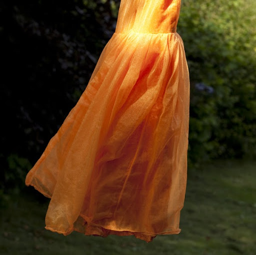 Jan Davies Photo 12