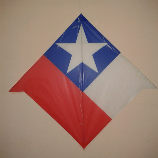 Nelson Martinez Photo 26