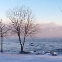 Cathy Welch Photo 31