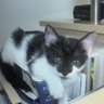 Sherry Jones Photo 11
