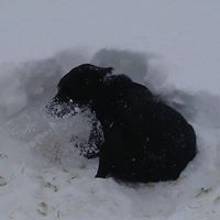Sherry Horne Photo 11