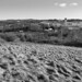 Russell Dudley Photo 12