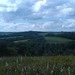 Virginia Hill Photo 15