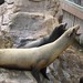 Christina Seals Photo 11
