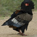 Michael Potts Photo 36