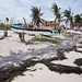 Sandra Barco Photo 18