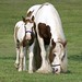 Colleen Evers Photo 11