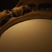 Elaine Levin Photo 27