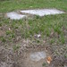 Raymond Grove Photo 6