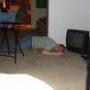 Tim Kramer Photo 37