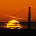 Greg Gates Photo 21