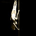 Bobbi Felix Photo 7