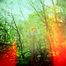 Diana Lane Photo 14