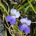 Mary Pender Photo 18
