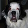 Larry Beebe Photo 33