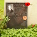Lawrence Price Photo 18