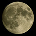 Luz Luna Photo 10