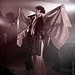Kevin Walton Photo 9