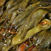 Rey Hatch Photo 8