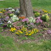 Nancy Norton Photo 39