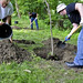 Dennis Rich Photo 36