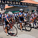 Shelley Higgins Photo 10