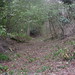 Richard Moats Photo 19