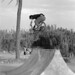 Chris Cronin Photo 14