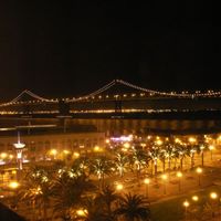 Roger Cohen Photo 18