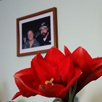 Anita Cox Photo 24