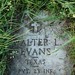 Walter Evans Photo 19