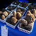 Stephen Morel Photo 11